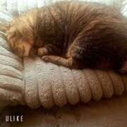 ヒメ日記 2026/04/08 12:33 投稿 なな【ド痴女・イラマ無料】 仙台大人の秘密倶楽部