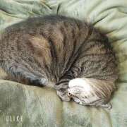 ヒメ日記 2026/04/11 10:03 投稿 なな【ド痴女・イラマ無料】 仙台大人の秘密倶楽部