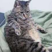 ヒメ日記 2026/04/18 12:12 投稿 なな【ド痴女・イラマ無料】 仙台大人の秘密倶楽部