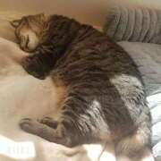 なな【ド痴女・イラマ無料】 19時から 仙台大人の秘密倶楽部