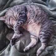 なな【ド痴女・イラマ無料】 19時から 仙台大人の秘密倶楽部