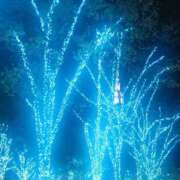 ヒメ日記 2024/12/11 20:20 投稿 ゆづき 人妻小旅行