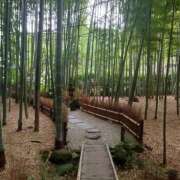 ヒメ日記 2025/03/03 09:40 投稿 るな 完熟ばなな大宮