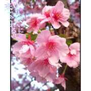 ヒメ日記 2025/03/21 09:51 投稿 るな 完熟ばなな大宮