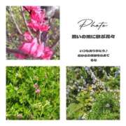 ヒメ日記 2025/03/28 08:51 投稿 るな 完熟ばなな大宮