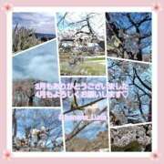 ヒメ日記 2025/03/31 14:20 投稿 るな 完熟ばなな大宮