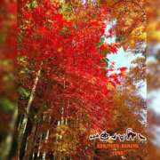 ヒメ日記 2025/09/27 12:30 投稿 るな 完熟ばなな大宮