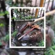 ヒメ日記 2025/11/12 09:37 投稿 るな 完熟ばなな大宮