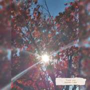 ヒメ日記 2025/11/21 09:19 投稿 るな 完熟ばなな大宮