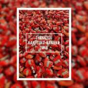 ヒメ日記 2025/12/30 09:13 投稿 るな 完熟ばなな大宮