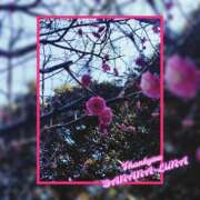 るな 春みーつけた 完熟ばなな大宮