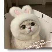 ヒメ日記 2026/01/21 09:53 投稿 るな 完熟ばなな大宮