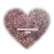 ヒメ日記 2026/02/25 09:12 投稿 るな 完熟ばなな大宮