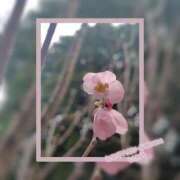 ヒメ日記 2026/03/23 10:16 投稿 るな 完熟ばなな大宮