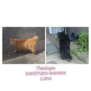 ヒメ日記 2026/04/16 10:03 投稿 るな 完熟ばなな大宮