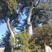 ヒメ日記 2025/03/07 20:21 投稿 水朝　美樹 人妻デリバリーパコパコママ一宮店