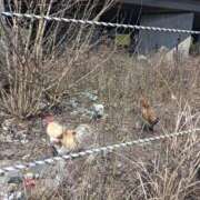 ヒメ日記 2025/03/23 13:02 投稿 水朝　美樹 人妻デリバリーパコパコママ一宮店