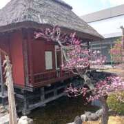 ヒメ日記 2025/03/27 14:17 投稿 水朝　美樹 人妻デリバリーパコパコママ一宮店