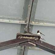 ヒメ日記 2025/04/06 12:21 投稿 水朝　美樹 人妻デリバリーパコパコママ一宮店