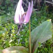 ヒメ日記 2025/04/09 18:21 投稿 水朝　美樹 人妻デリバリーパコパコママ一宮店