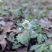 ヒメ日記 2025/04/10 14:11 投稿 水朝　美樹 人妻デリバリーパコパコママ一宮店
