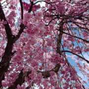 ヒメ日記 2025/04/23 11:02 投稿 水朝　美樹 人妻デリバリーパコパコママ一宮店