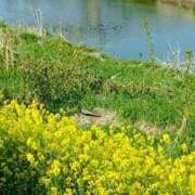 ヒメ日記 2025/04/30 14:54 投稿 水朝　美樹 人妻デリバリーパコパコママ一宮店