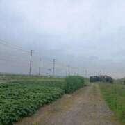 ヒメ日記 2025/05/23 12:21 投稿 水朝　美樹 人妻デリバリーパコパコママ一宮店