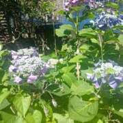 ヒメ日記 2025/06/05 19:31 投稿 水朝　美樹 人妻デリバリーパコパコママ一宮店