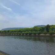 ヒメ日記 2025/06/11 16:21 投稿 水朝　美樹 人妻デリバリーパコパコママ一宮店