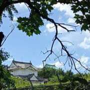 ヒメ日記 2025/07/25 14:21 投稿 水朝　美樹 人妻デリバリーパコパコママ一宮店