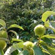 ヒメ日記 2025/09/08 14:17 投稿 水朝　美樹 人妻デリバリーパコパコママ一宮店