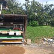 ヒメ日記 2025/10/03 06:41 投稿 水朝　美樹 人妻デリバリーパコパコママ一宮店