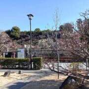 ヒメ日記 2026/02/03 10:51 投稿 水朝　美樹 人妻デリバリーパコパコママ一宮店