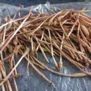 ヒメ日記 2026/03/13 14:31 投稿 水朝　美樹 人妻デリバリーパコパコママ一宮店