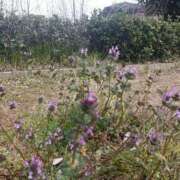 ヒメ日記 2026/03/23 09:27 投稿 水朝　美樹 人妻デリバリーパコパコママ一宮店