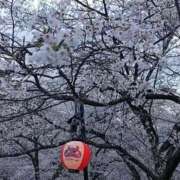 ヒメ日記 2026/04/09 16:51 投稿 水朝　美樹 人妻デリバリーパコパコママ一宮店