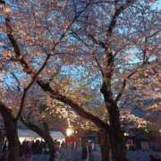 ヒメ日記 2026/04/11 08:50 投稿 水朝　美樹 人妻デリバリーパコパコママ一宮店