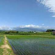 ヒメ日記 2026/05/29 16:11 投稿 水朝　美樹 人妻デリバリーパコパコママ一宮店