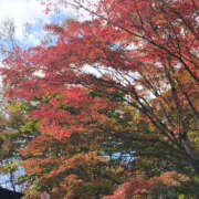 ヒメ日記 2026/10/15 17:51 投稿 水朝　美樹 人妻デリバリーパコパコママ一宮店