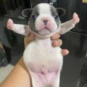 ヒメ日記 2026/02/11 12:57 投稿 のん ZERO