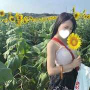 ヒメ日記 2025/09/12 21:14 投稿 和／なごみ　centu STYLISH BACH