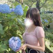 和／なごみ　centu 🈵完売してます STYLISH BACH