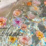 ヒメ日記 2024/12/19 10:46 投稿 ありす スピードエコ京橋店