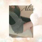 ヒメ日記 2024/12/28 11:06 投稿 ありす スピードエコ京橋店