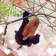 ヒメ日記 2024/12/31 10:36 投稿 ありす スピードエコ京橋店