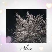 ヒメ日記 2025/04/07 11:01 投稿 ありす スピードエコ京橋店