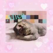 ヒメ日記 2025/04/10 11:31 投稿 ありす スピードエコ京橋店