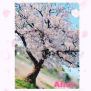 ヒメ日記 2025/04/12 10:31 投稿 ありす スピードエコ京橋店