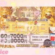 ヒメ日記 2025/05/03 11:02 投稿 ありす スピードエコ京橋店